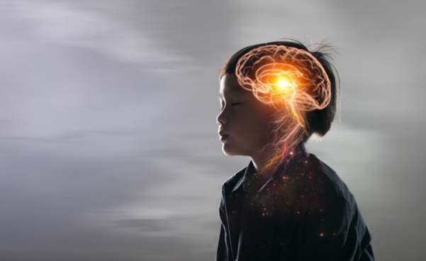 Neuroplasticity: How to take advantage of a unique biological phenomenon to boost your child’s learning.